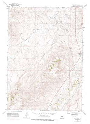 Salt Creek USGS topographic map 43106c3