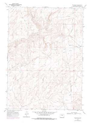 Big Gulch USGS topographic map 43106c4