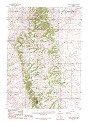Sawmill Canyon USGS topographic map 43106d1