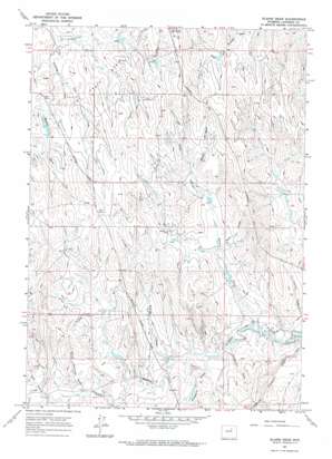 Elaine Draw USGS topographic map 43106h4