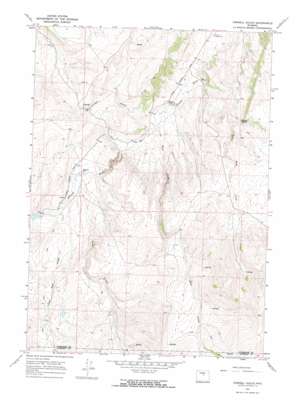 Cornell Gulch topo map