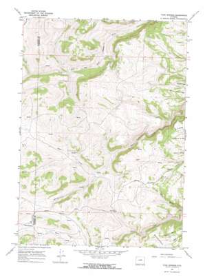 Turk Springs USGS topographic map 43107f1