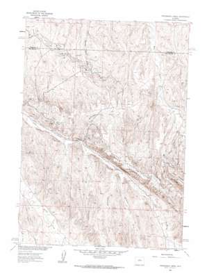 Packsaddle Creek USGS topographic map 43107f7