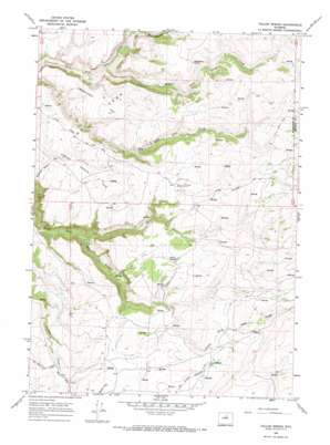 Tallon Spring USGS topographic map 43107g2