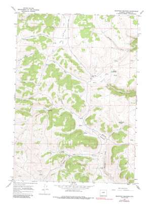 Beartrap Meadows USGS topographic map 43107h1