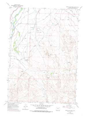 Banjo Flats West USGS topographic map 43107h8