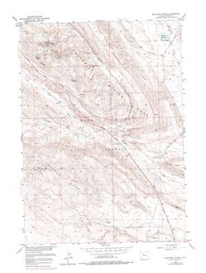 Maverick Spring USGS topographic map 43108d8