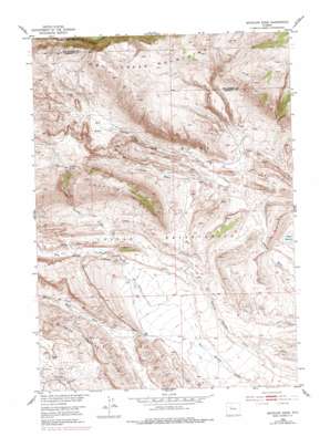 Antelope Ridge topo map