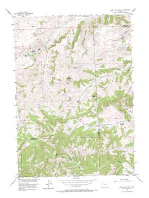 Soapy Dale Peak USGS topographic map 43108h8