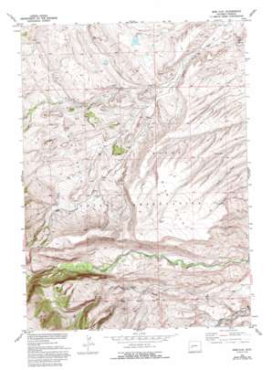 Wise Flat topo map