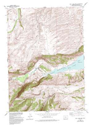 Bull Lake West USGS topographic map 43109b2
