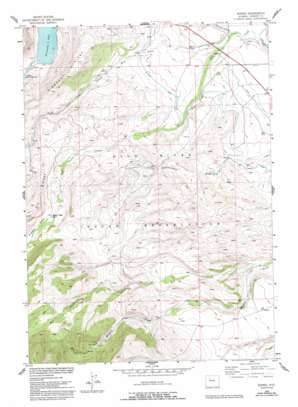 Burris USGS topographic map 43109c3