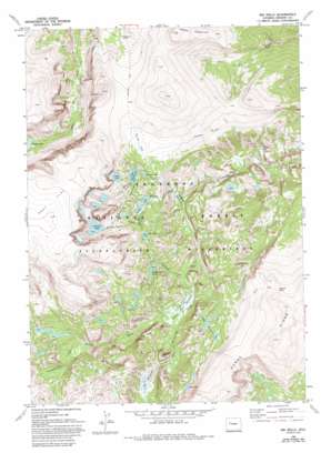 Ink Wells USGS topographic map 43109c5