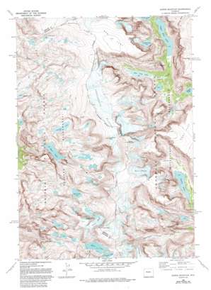 Downs Mountain USGS topographic map 43109c6