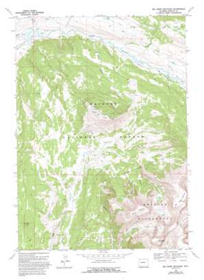 Big Sheep Mountain USGS topographic map 43109c8