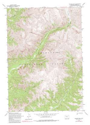Wiggins Peak topo map