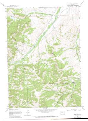 Noon Point topo map