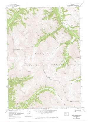 Mount Burwell topo map