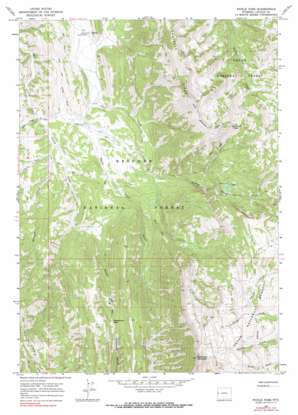 Pickle Pass topo map