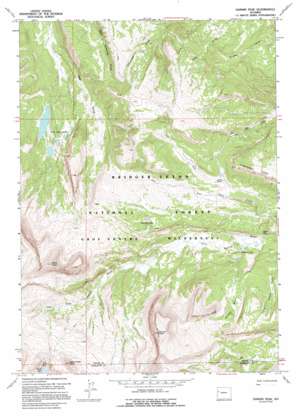 Darwin Peak topo map