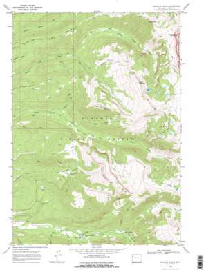Mount Moran USGS topographic map 43110g8
