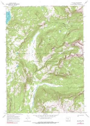 Joy Peak USGS topographic map 43110h2