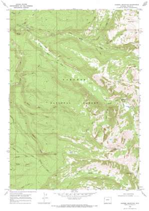 Rammell Mountain USGS topographic map 43110h8