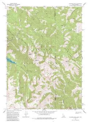 Palisades Peak USGS topographic map 43111d1