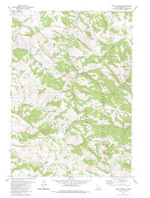 Point Lookout topo map