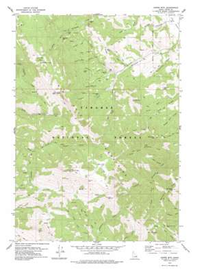 Garns Mountain USGS topographic map 43111f3
