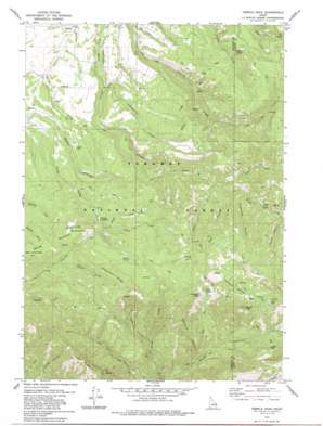 Temple Peak USGS topographic map 43111f4