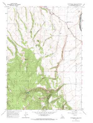 Packsaddle Lake USGS topographic map 43111g3