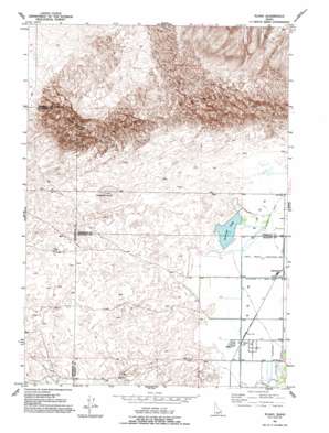 Plano USGS topographic map 43111h8