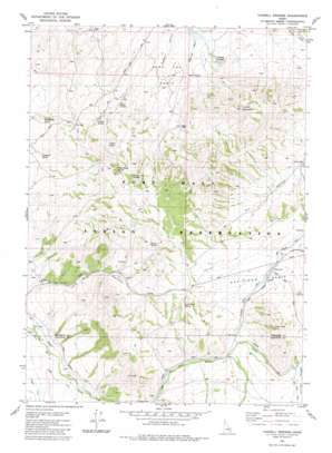 Yandell Springs topo map
