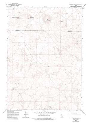 Market Lake Ne USGS topographic map 43112h1