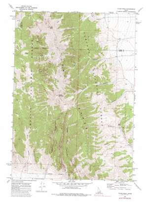 Tyler Peak topo map