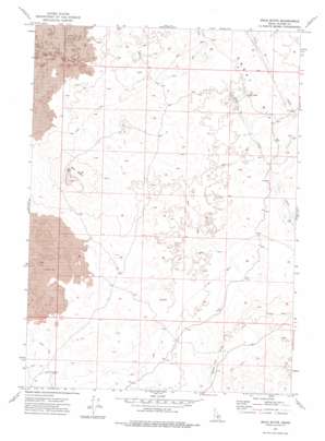 Mule Butte USGS topographic map 43113a3