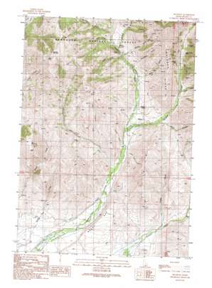 Muldoon USGS topographic map 43113e8