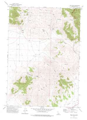 Arco Hills USGS topographic map 43113f2