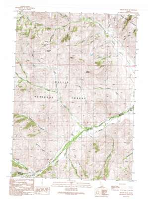Miller Peak USGS topographic map 43113f6