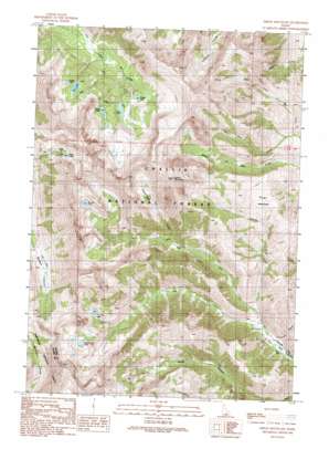 Smiley Mountain USGS topographic map 43113f7