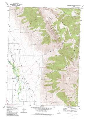 Ramshorn Canyon topo map