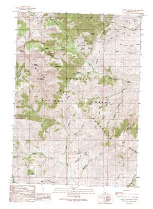 Shelly Mountain USGS topographic map 43113g6