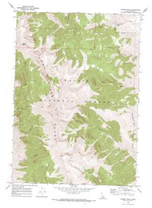 Sunset Peak USGS topographic map 43113h3
