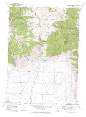 Methodist Creek USGS topographic map 43113h4