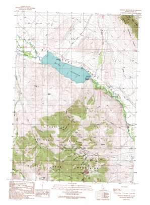 Mackay Reservoir USGS topographic map 43113h6