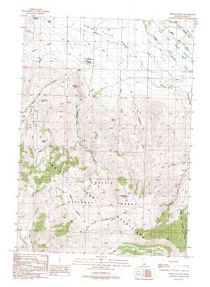 Lehman Butte topo map