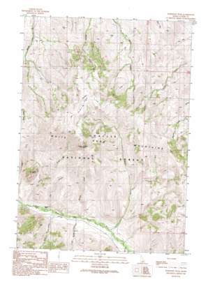 Porphyry Peak USGS topographic map 43113h8