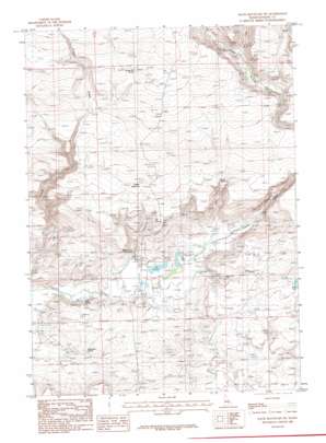 Davis Mountain SW USGS topographic map 43114a8