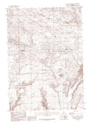 Mchan Reservoir topo map